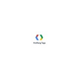 SEO Google Hreflang & Canonical Tags sur toutes les pages