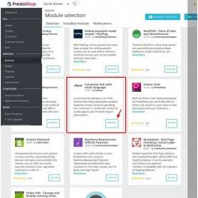 SEO Google Hreflang & Canonical Tags sur toutes les pages