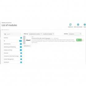 SEO Google Hreflang & Canonical Tags sur toutes les pages