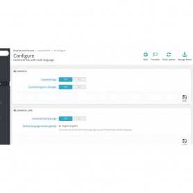 SEO Google Hreflang & Canonical Tags sur toutes les pages