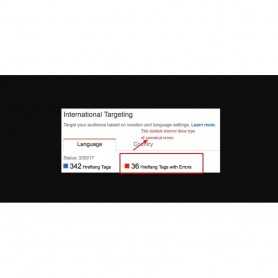 SEO Google Hreflang & Canonical Tags sur toutes les pages