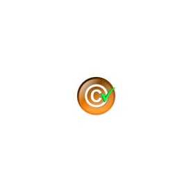 Content Protection & Copy Protection - All in one Module PrestaShop