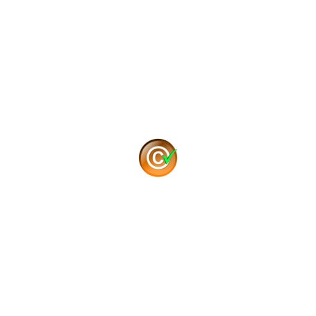 Content Protection & Copy Protection - All in one Module PrestaShop