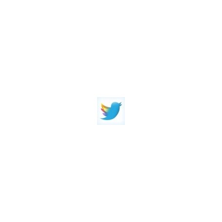 Module Twitter Feeds Prestashop