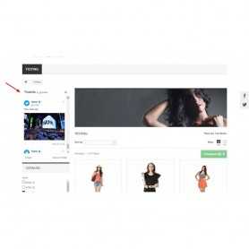 Twitter Feeds Module Prestashop