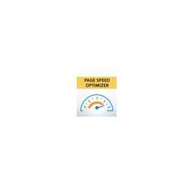 Module Google Page Speed Optimizer PrestaShop