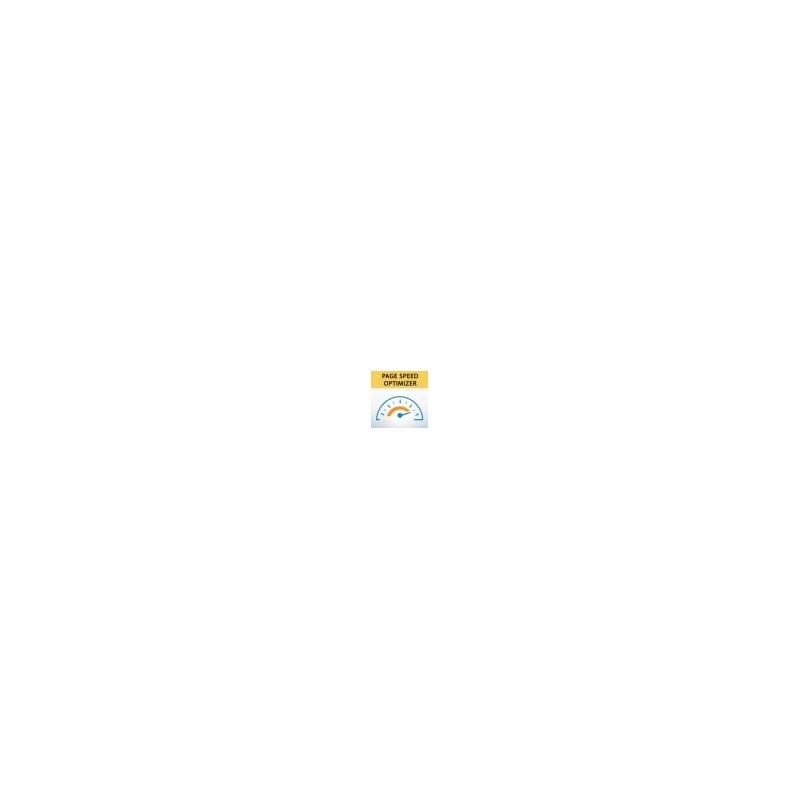 Module Google Page Speed Optimizer PrestaShop Module Google Page Speed Optimizer PrestaShop