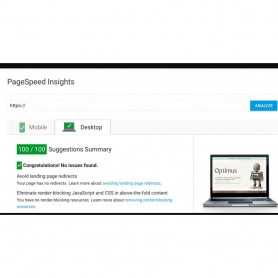 Google Page Speed Optimizer Module PrestaShop