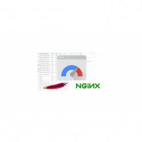 PageSpeed Insights Module PrestaShop