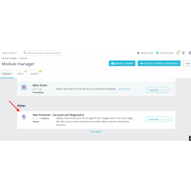 Nouveaux produits - Carousel et Responsive