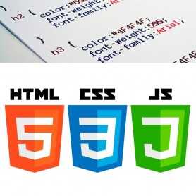 CSS et JS personnalisés - Avancé