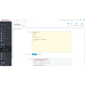 Add Custom CSS and JS