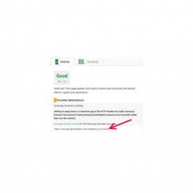 Leverage Browser Caching Ultimate Module PrestaShop
