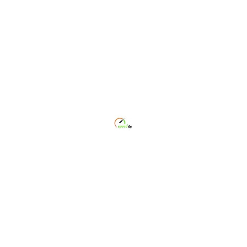 Module PS Speedup PrestaShop Module PS Speedup PrestaShop