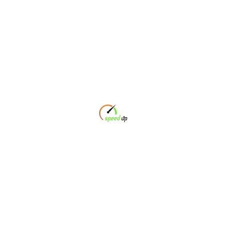 Module PS Speedup PrestaShop