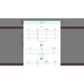 Prestashop Sticky Add to cart with combination - Pro