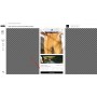 Sticky Add To Cart button - Advanced n.